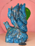 Blue Apatite Nine Tail Fox B