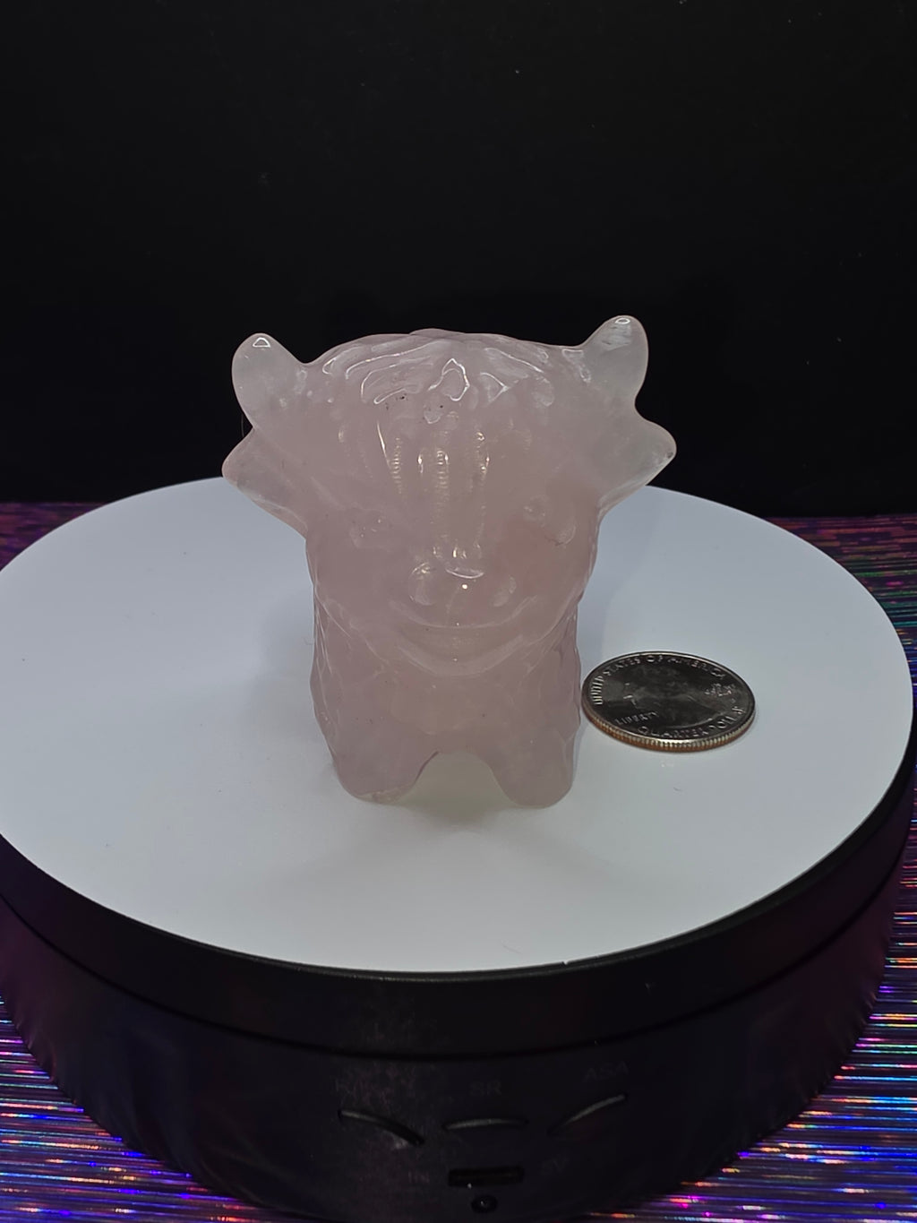 Rose Quartz Highland Cow A