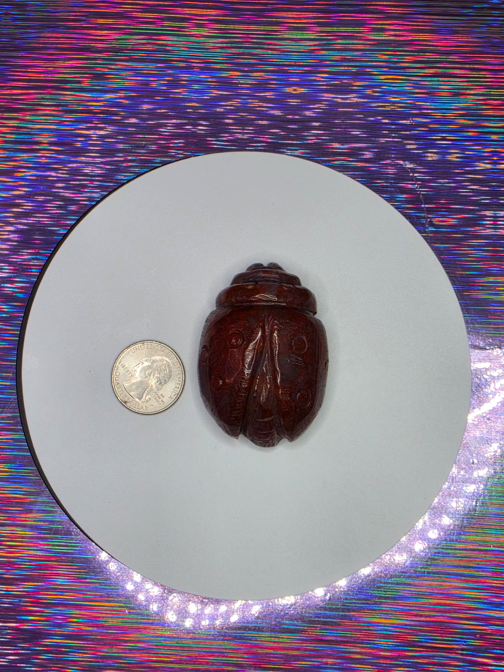 Sea Jasper Ladybug