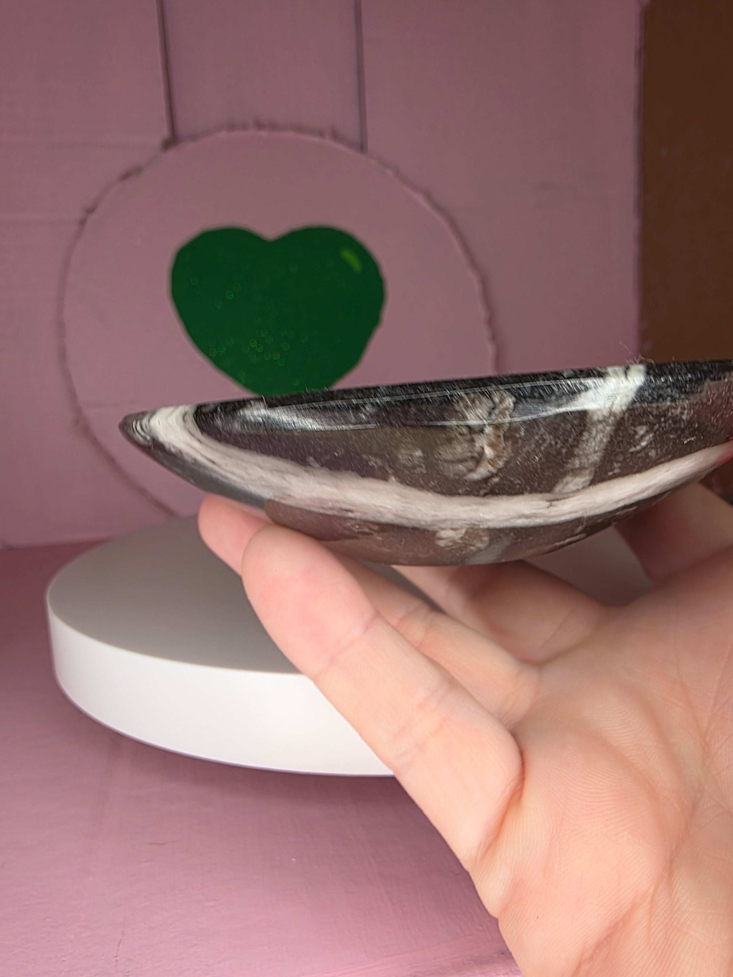 Orthoceras Fossil Bowl