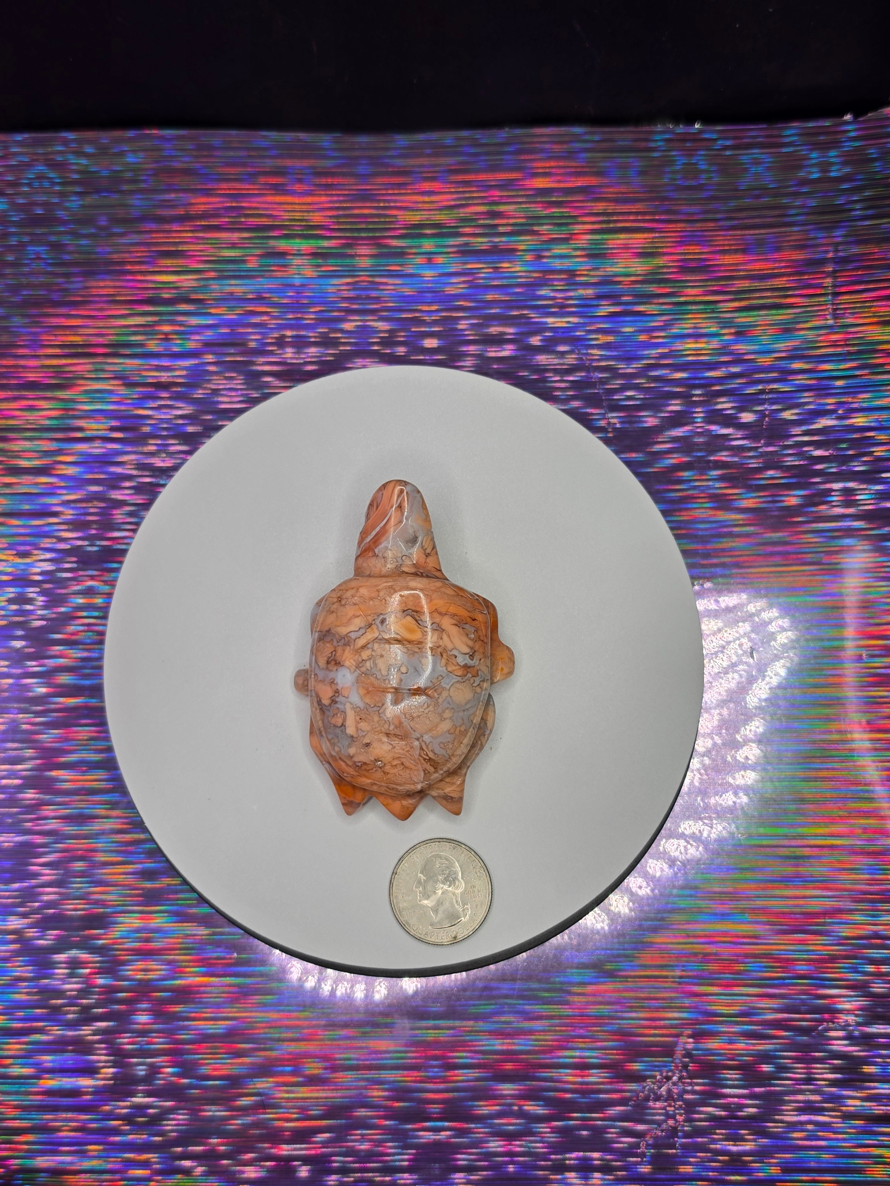 Cotton Candy Agate Turtle A