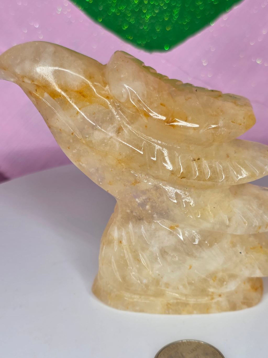Golden Healer Eagle Head D