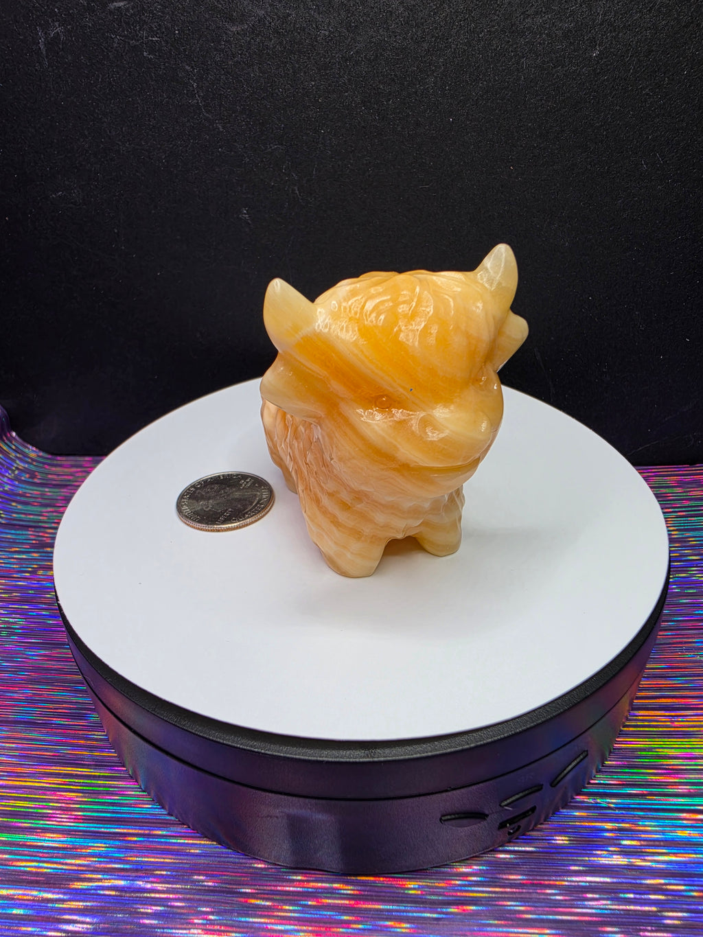 Honey Calcite Highland Cow B