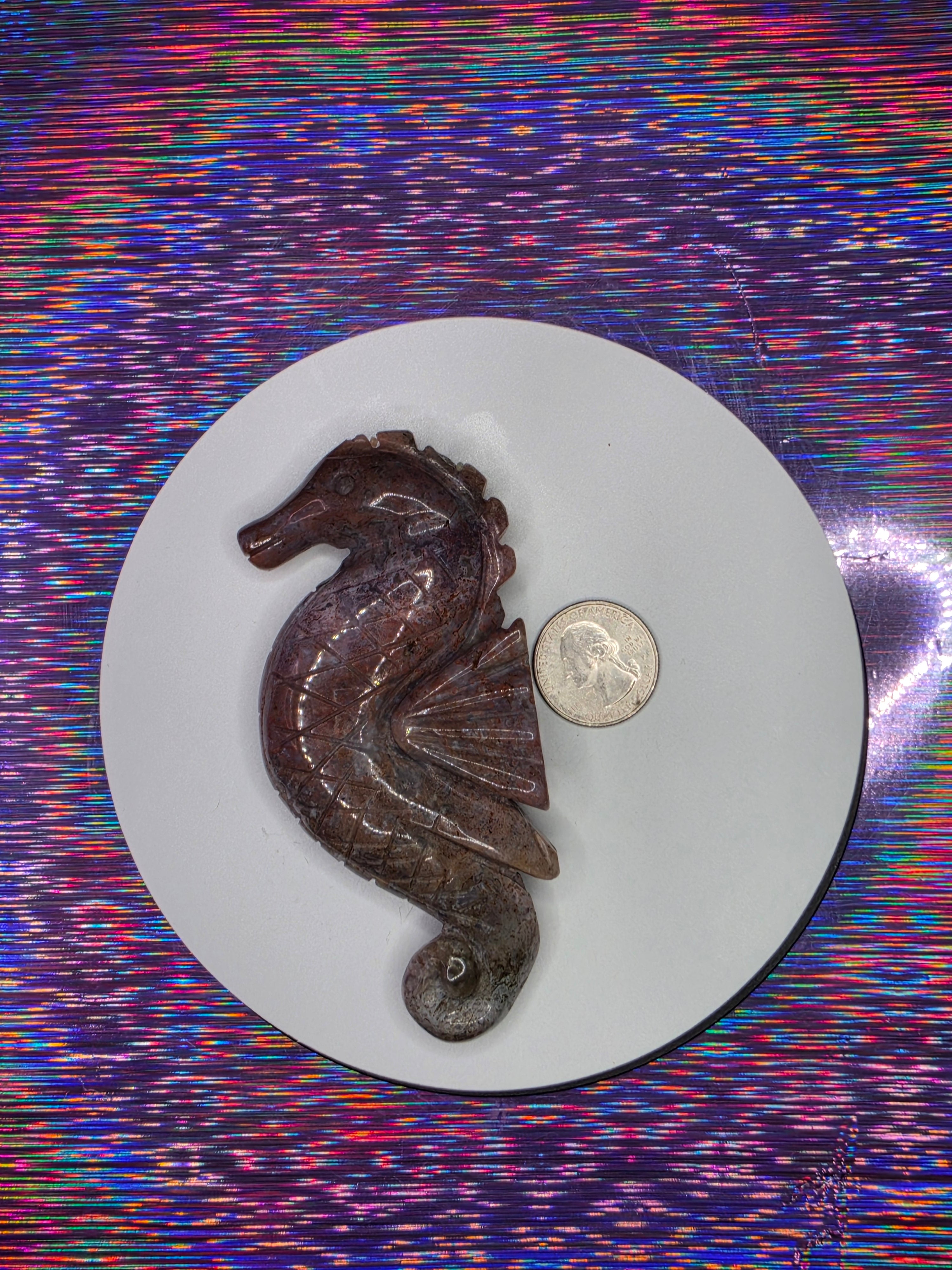 Sea Jasper Seahorse C