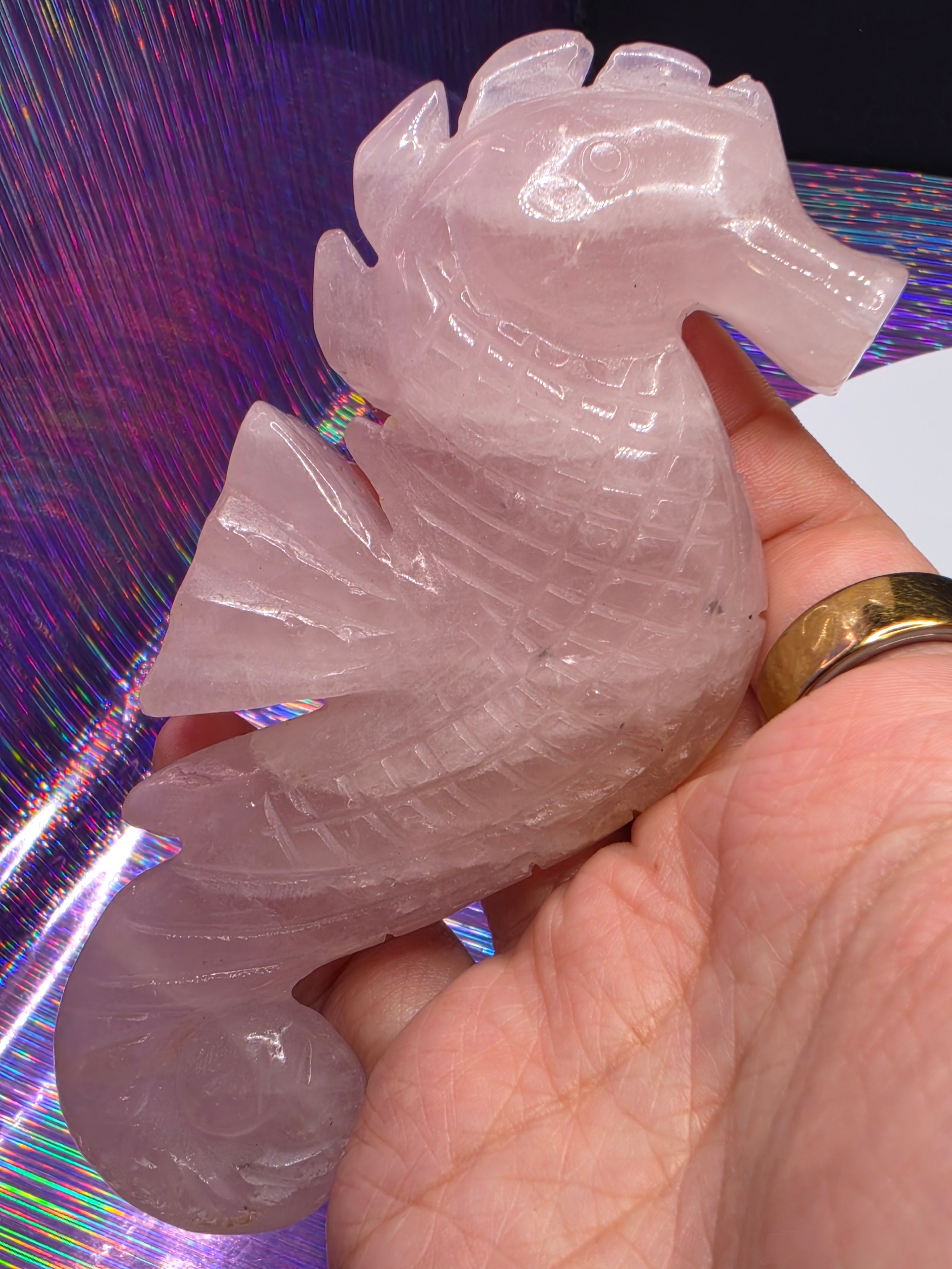 Rose Quartz Seahorse B