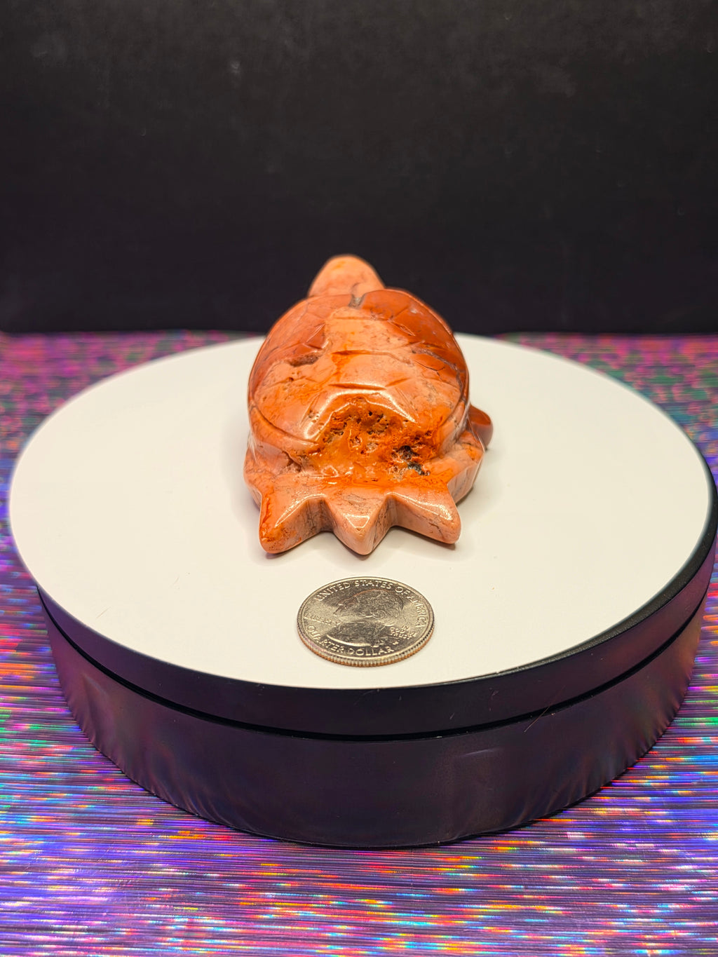 Cotton Candy Agate Turtle C