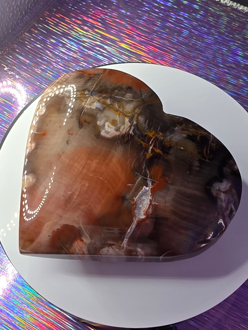 Petrified Wood Heart