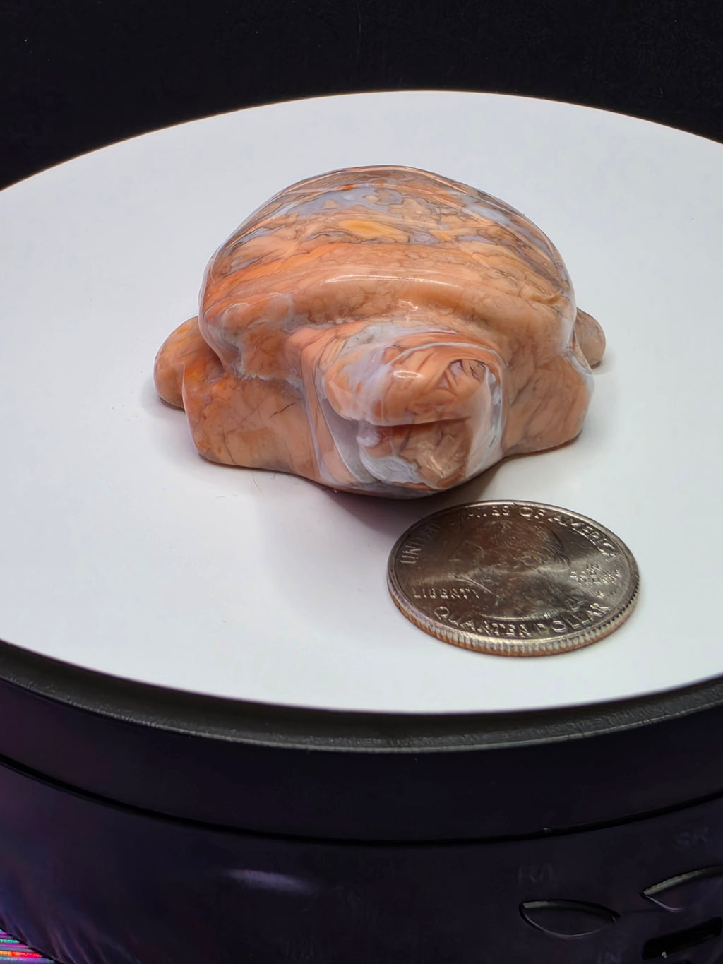 Cotton Candy Agate Turtle A