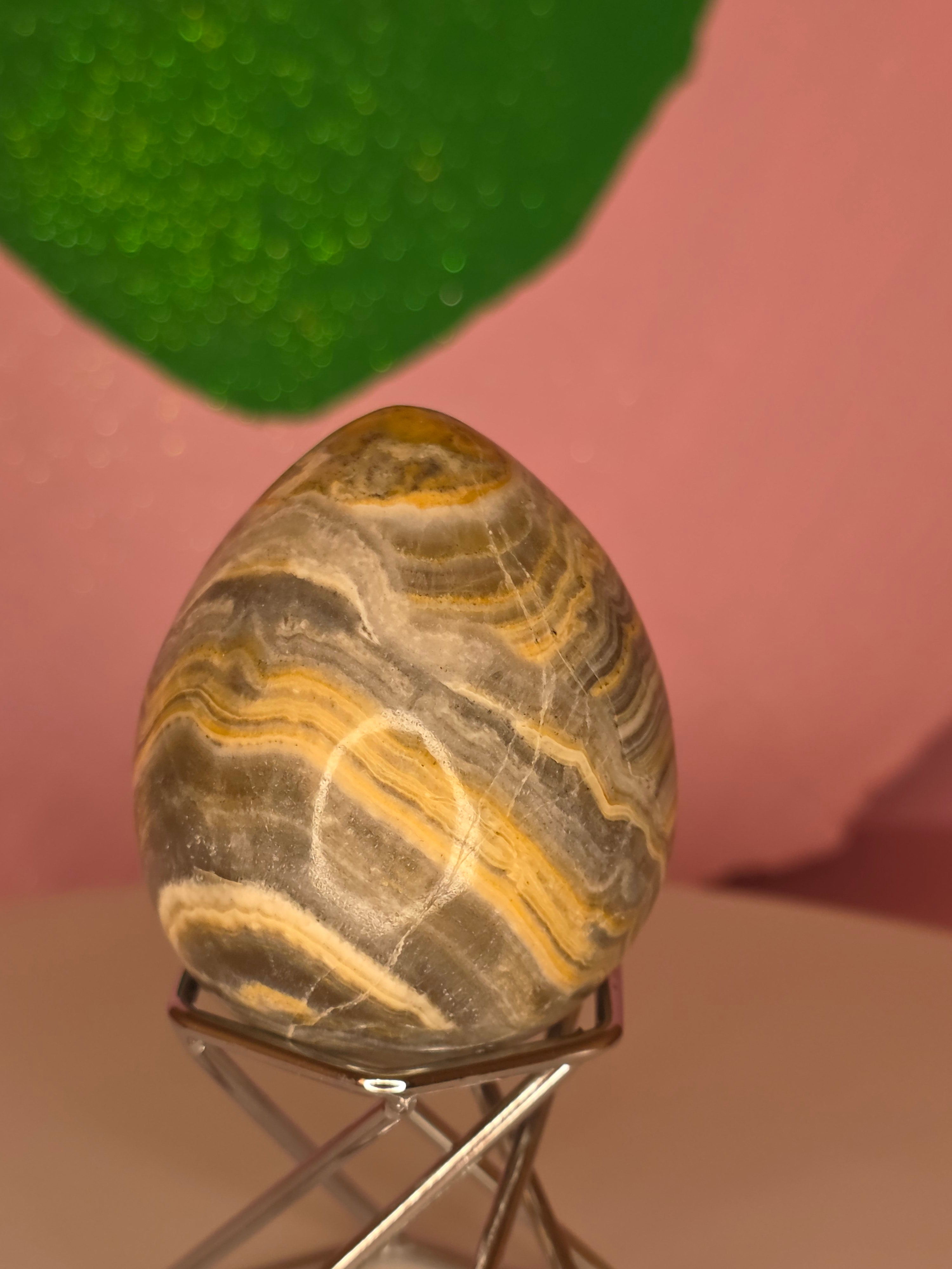 Yellow Banded Onyx Egg B