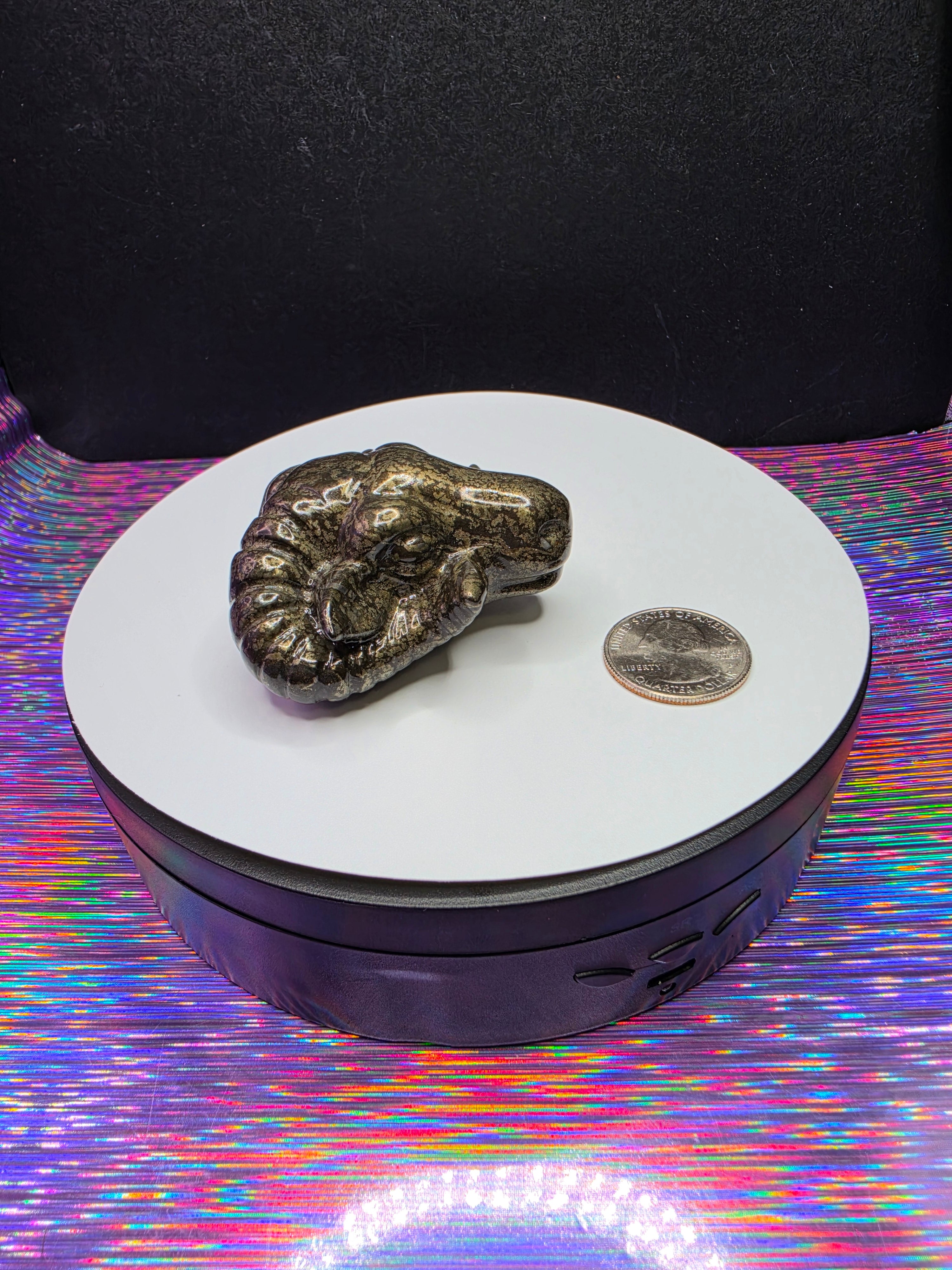 Pyrite Bighorn Ram Head A