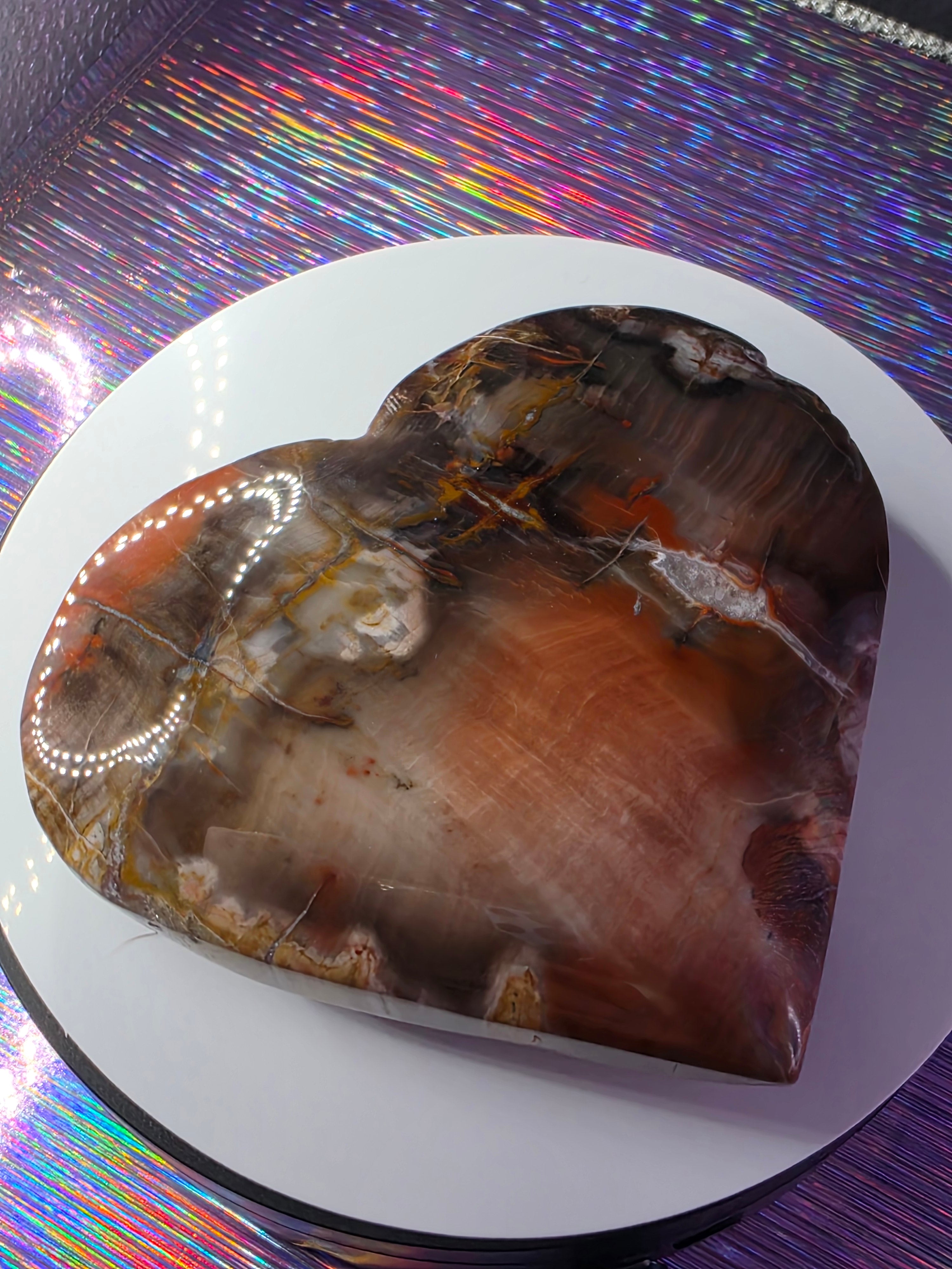 Petrified Wood Heart