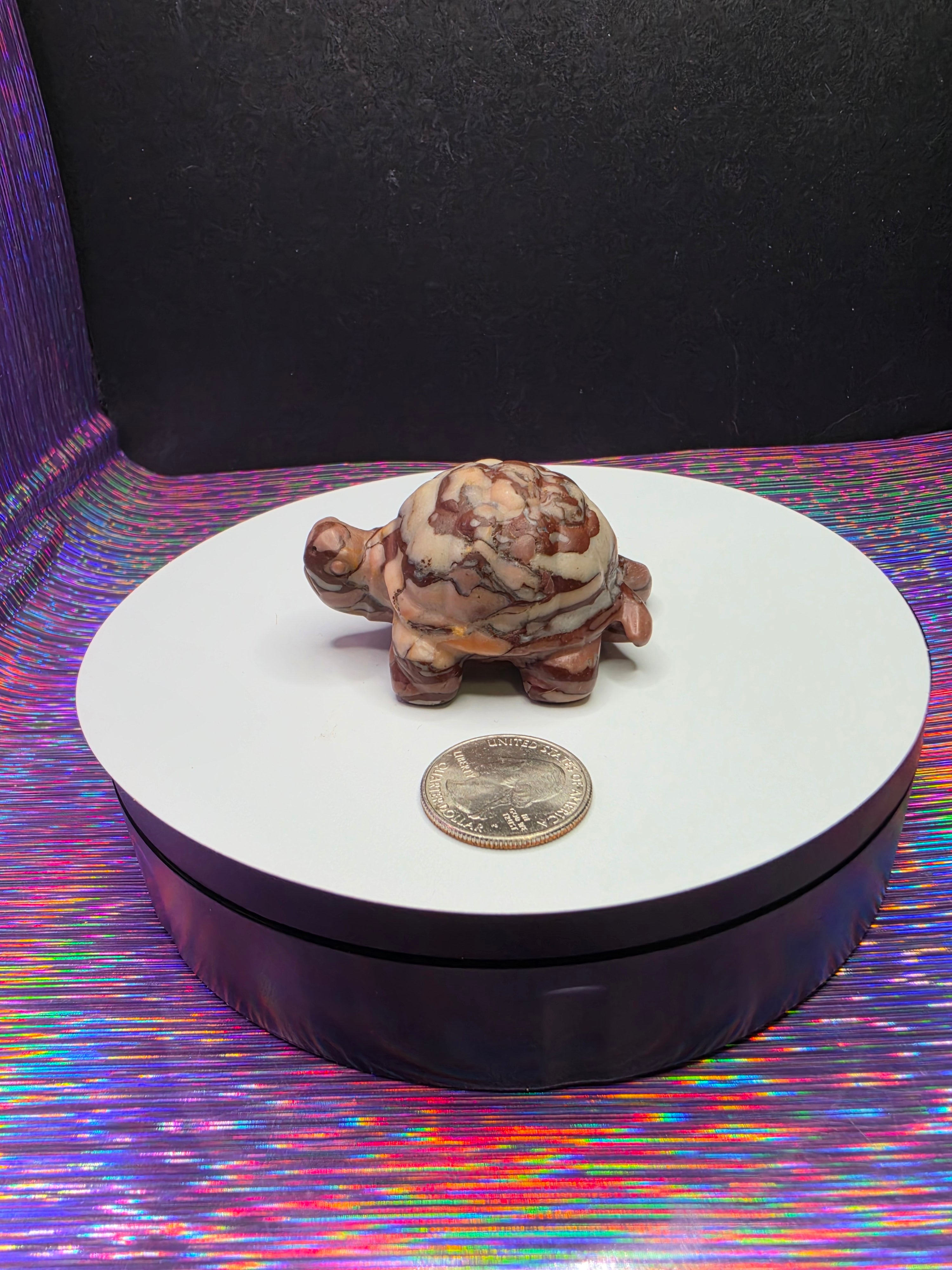 Chocolate Calcite Turtle