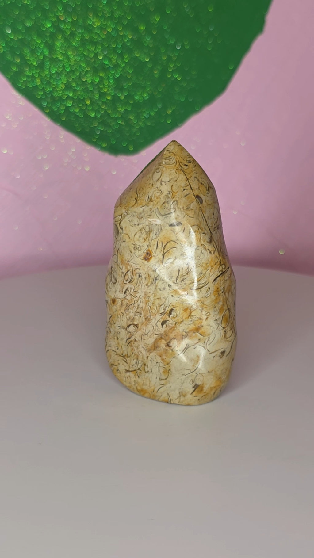 Turritella Jasper Flame A