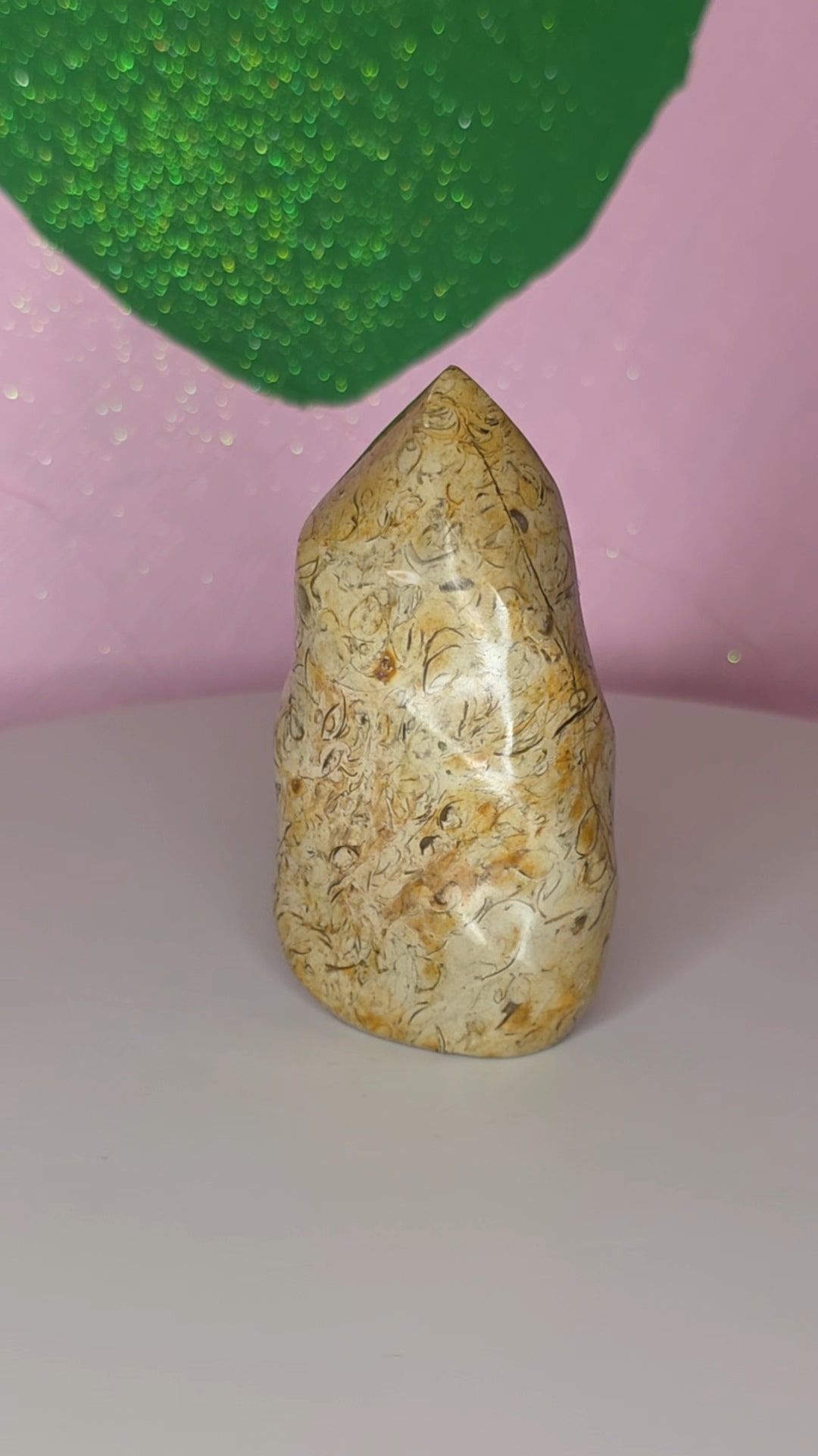 Turritella Jasper Flame A