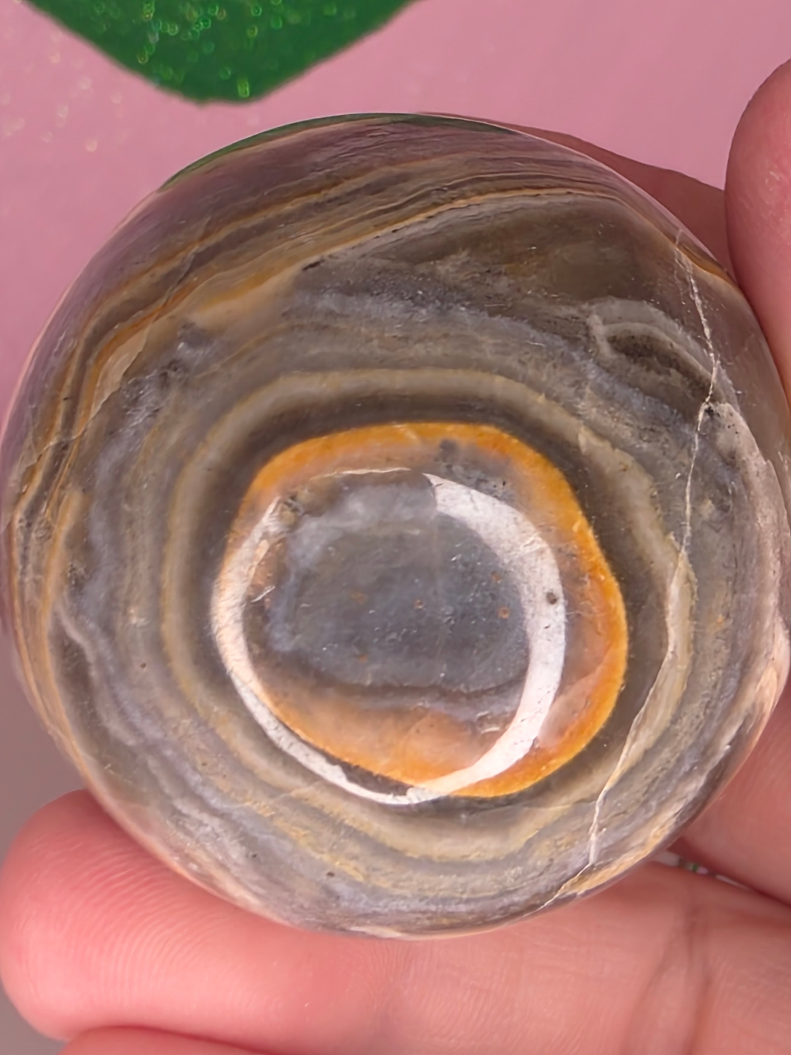 Yellow Banded Onyx Egg B