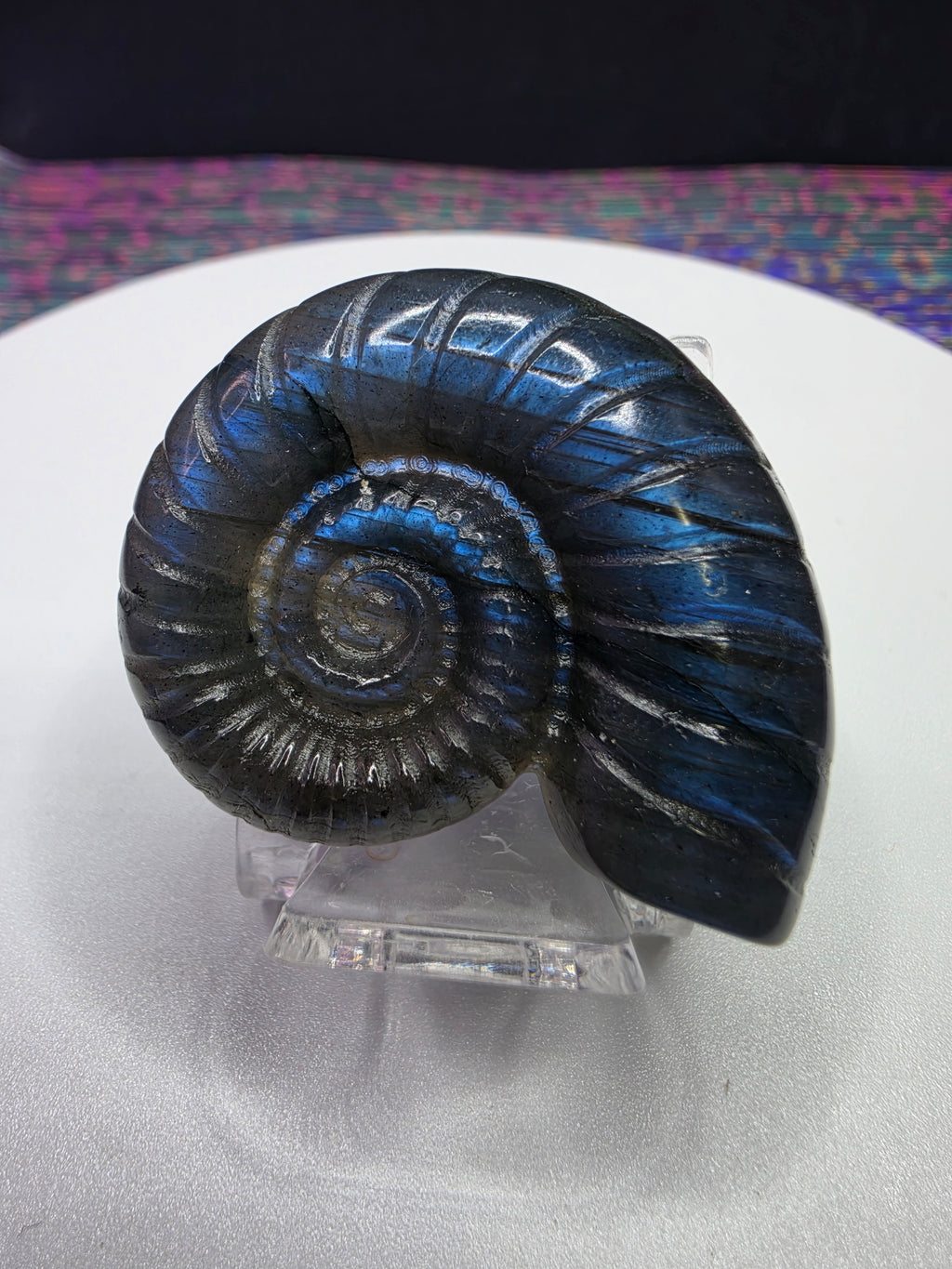 Labradorite Spiral Shell Carving