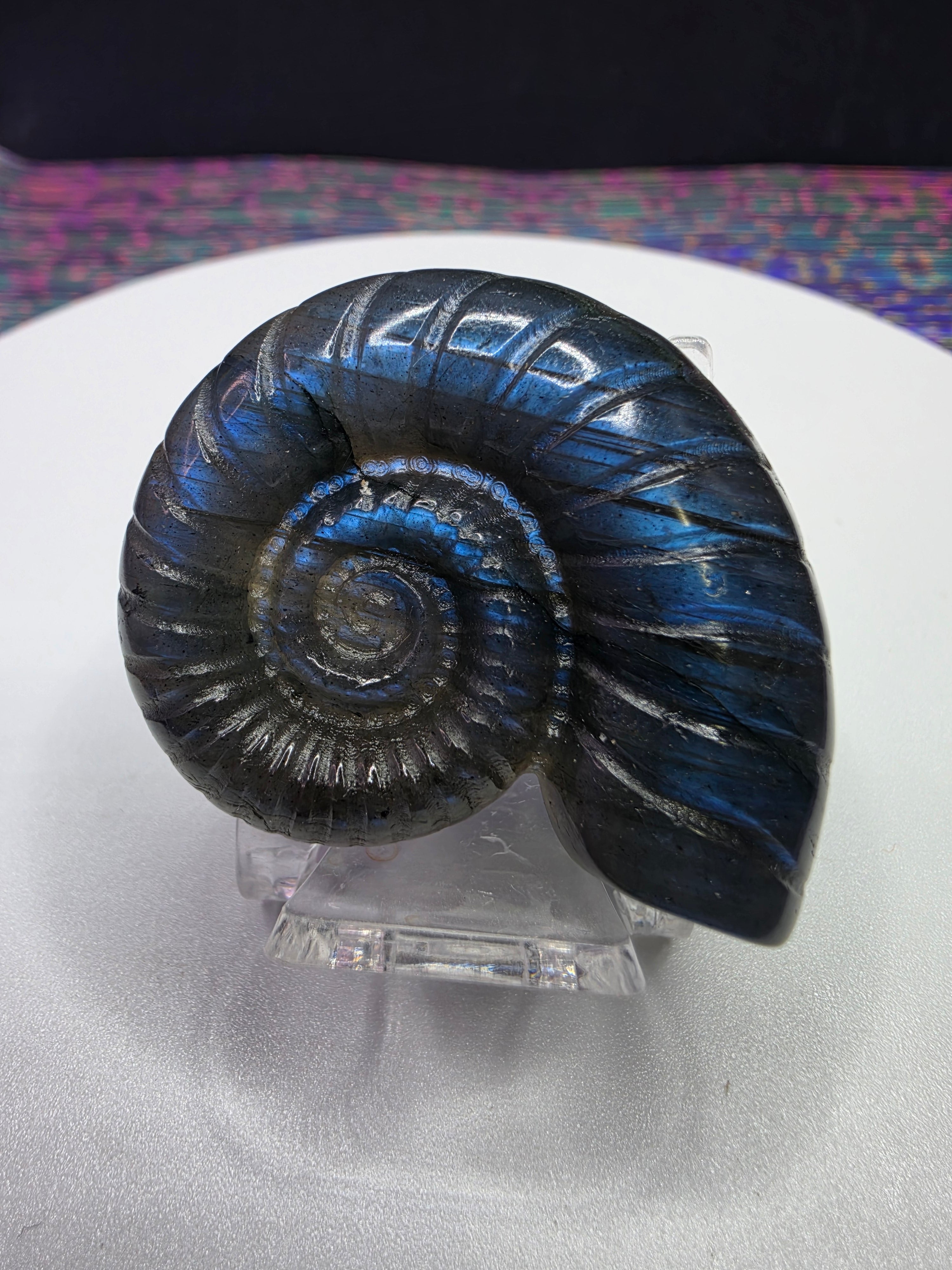 Labradorite Spiral Shell Carving