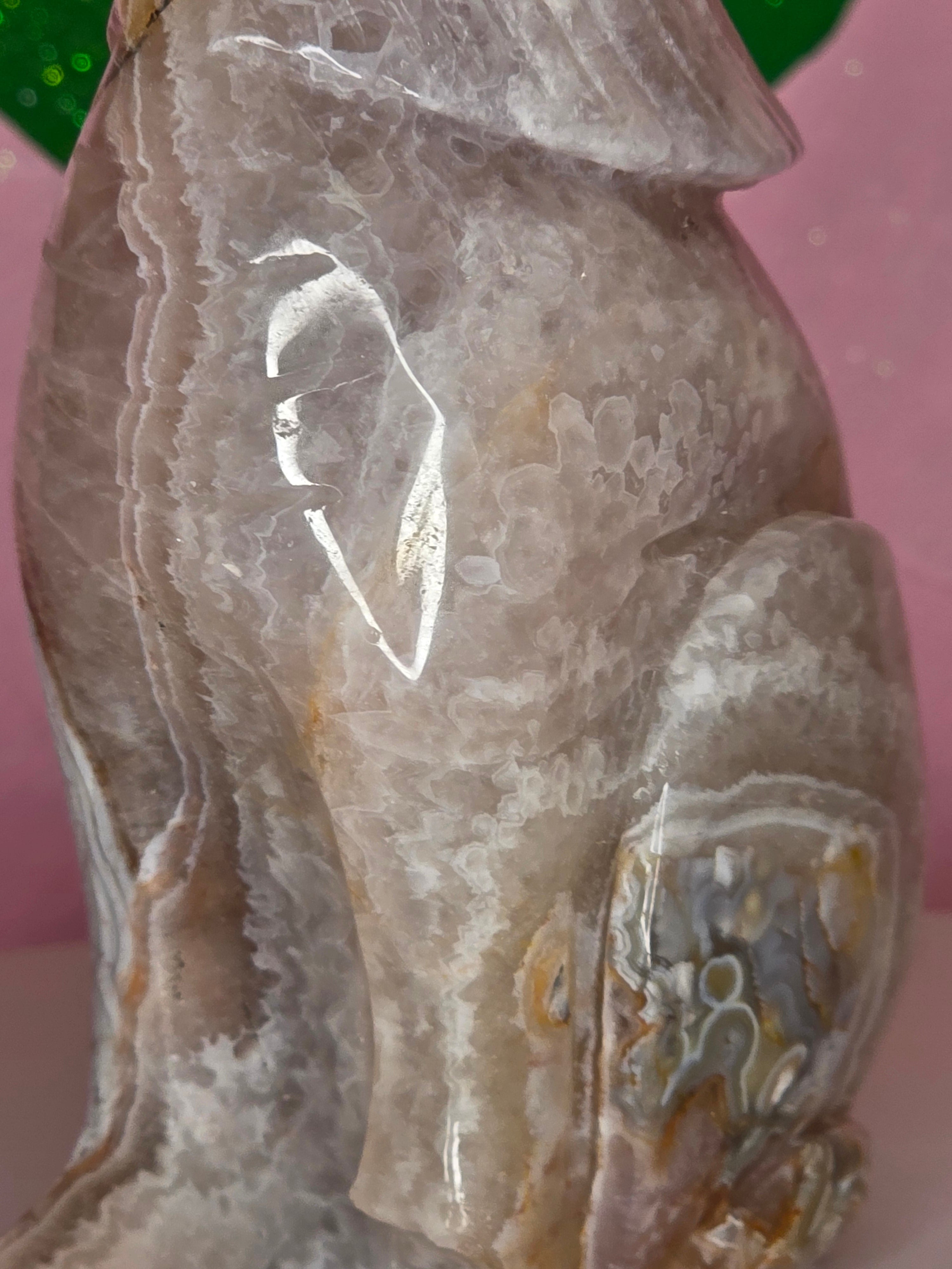 Crazy Lace Amethyst Wolf