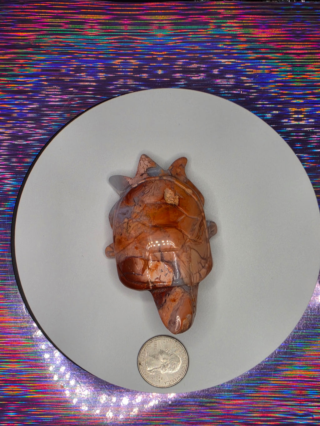 Cotton Candy Agate Turtle B