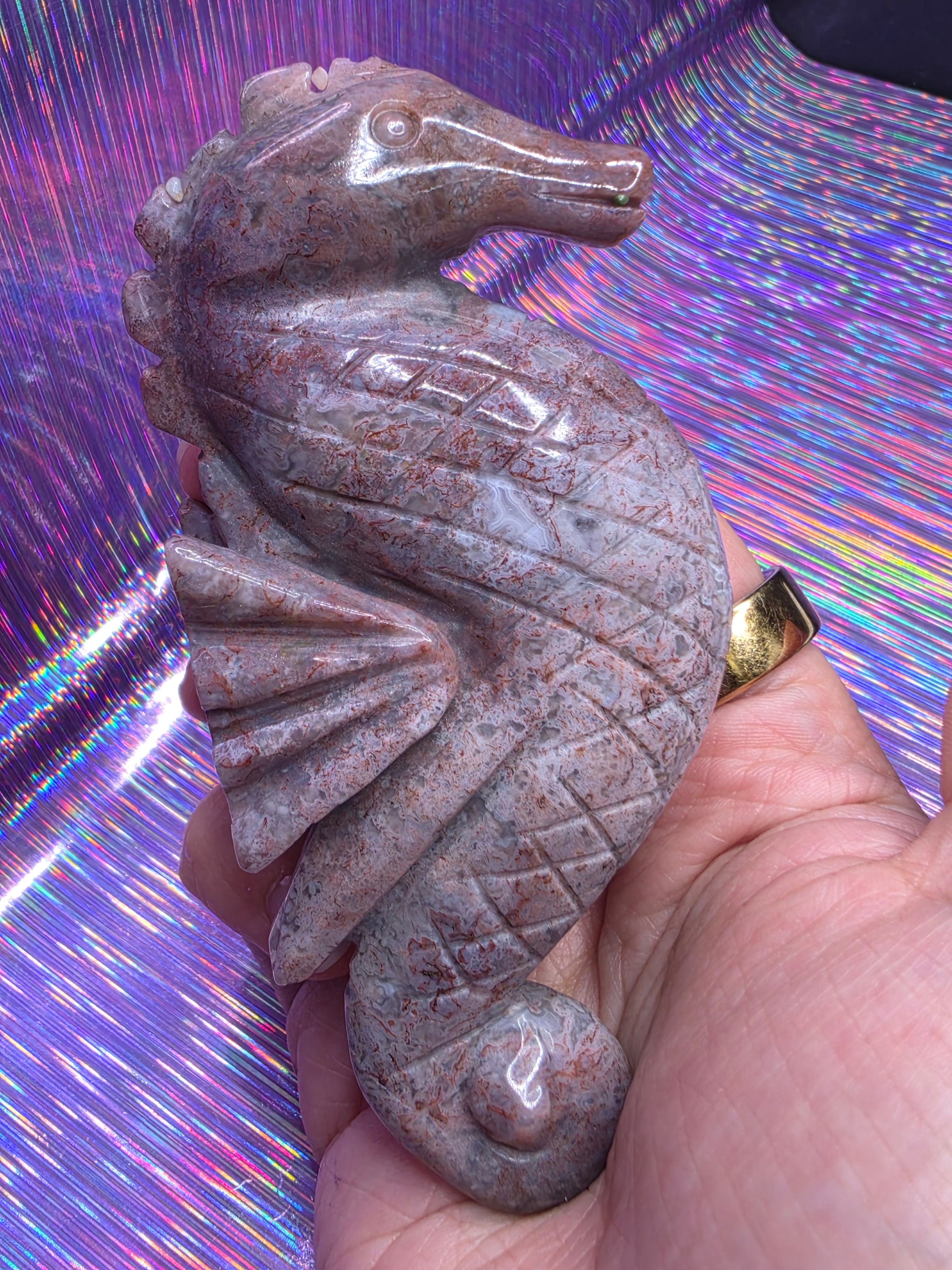 Sea Jasper Seahorse C