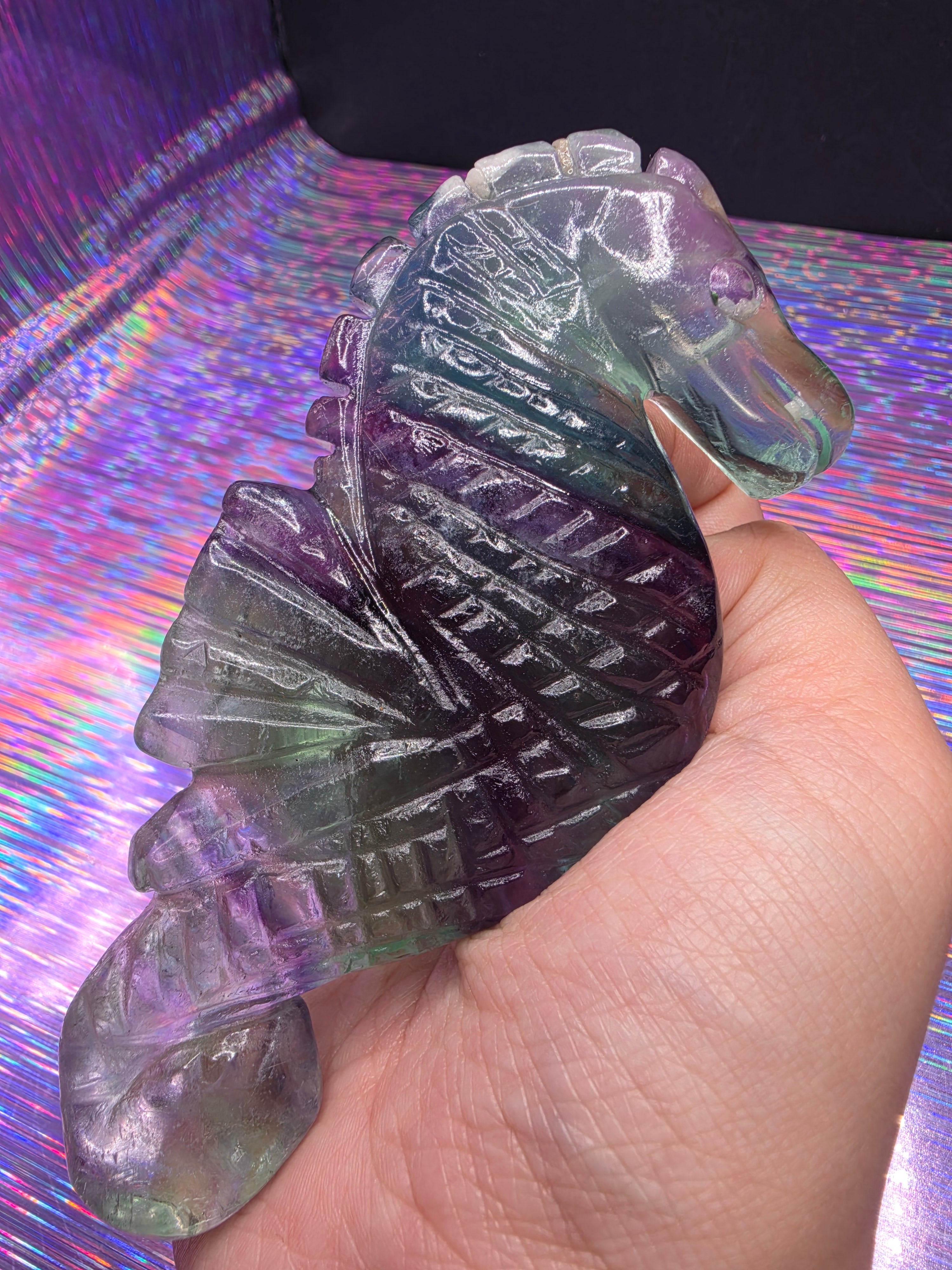 Fluorite Seahorse D