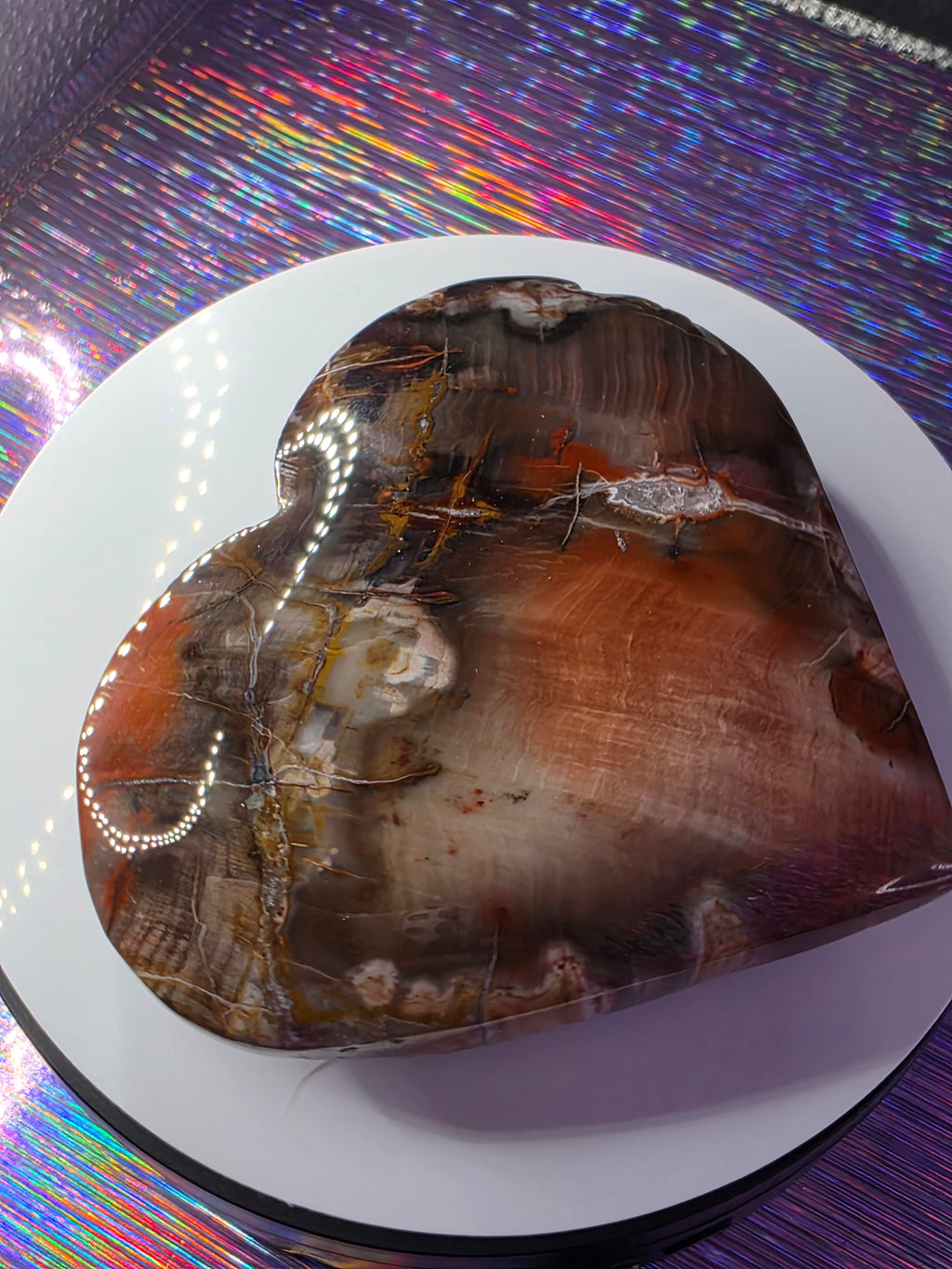 Petrified Wood Heart