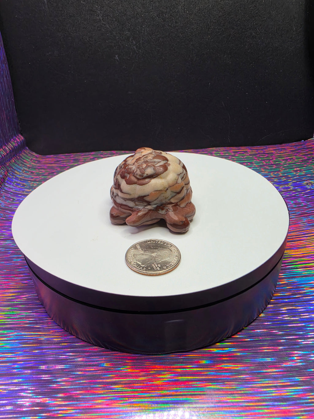 Chocolate Calcite Turtle